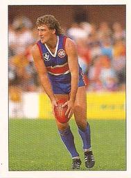 1990 Select AFL Stickers #100 Doug Hawkins Front